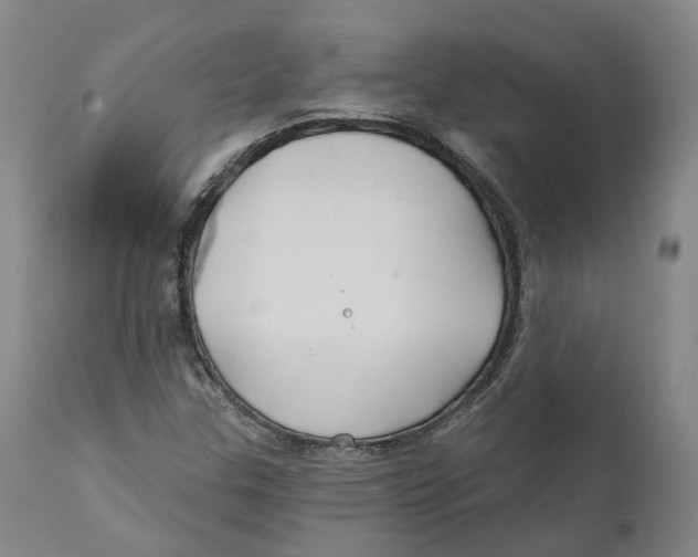 X0000111241307200907231519