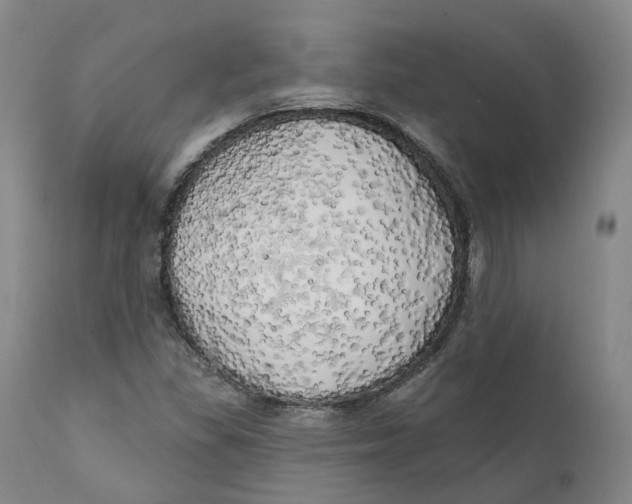 X0000111241309200907231519