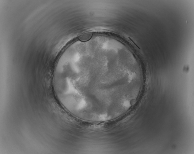 X0000111241313200907231519