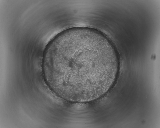 X0000111241314200907231519