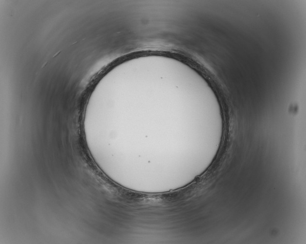 X0000111241315200907231519