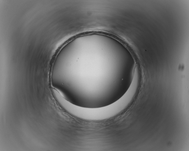 X0000111241316200907231519