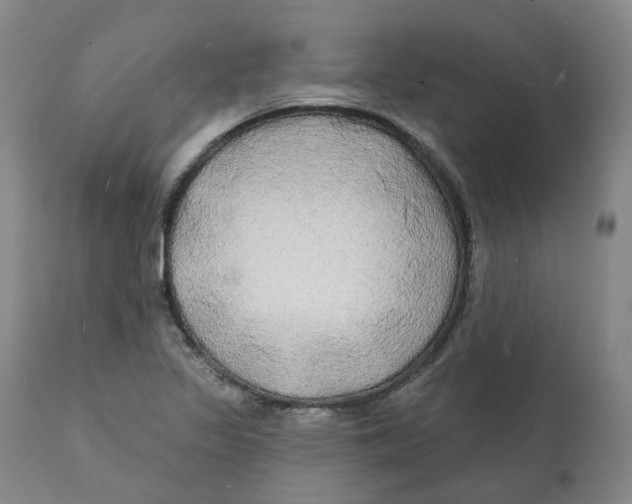 X0000111241317200907231519