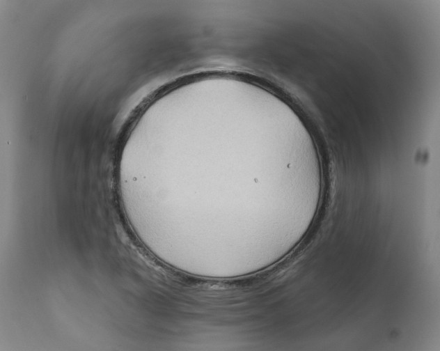 X0000111241318200907231519