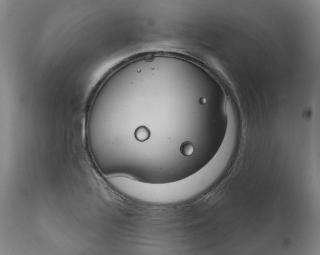 X0000111241320200907231519