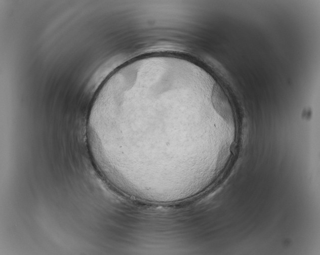 X0000111241321200907231519