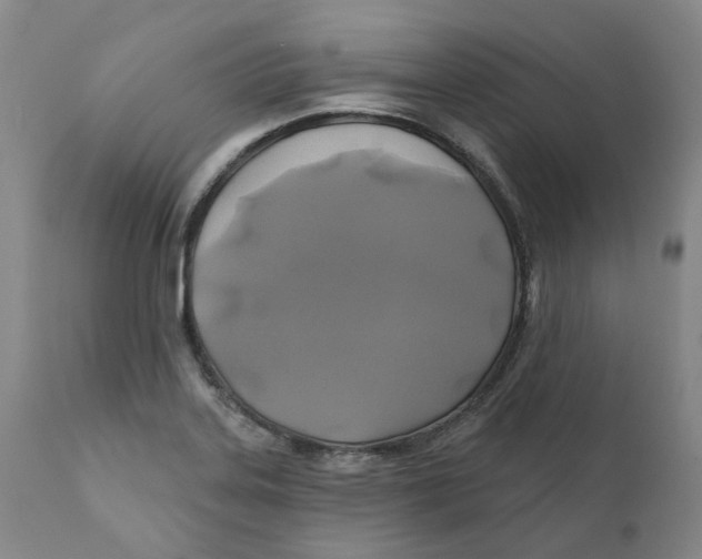 X0000111241323200907231519