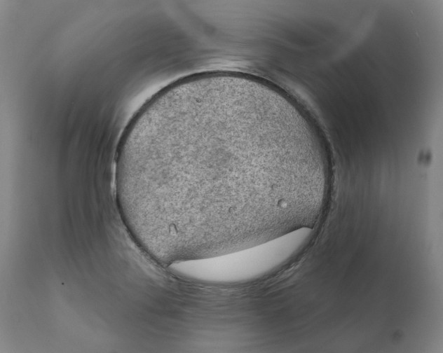 X0000111241324200907231519