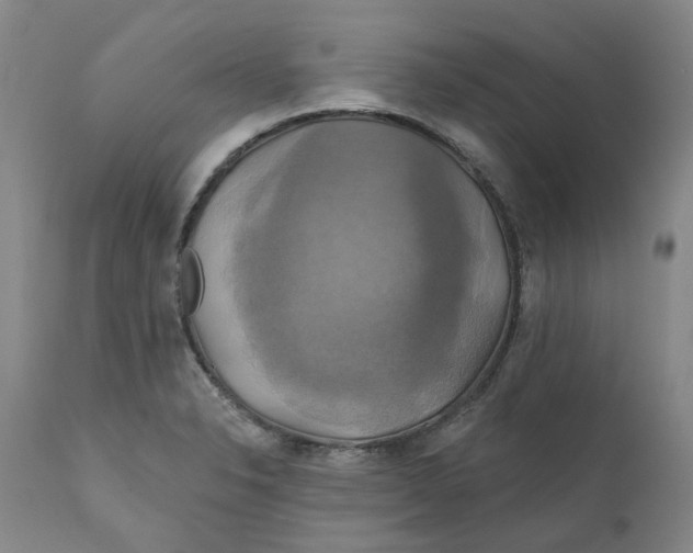 X0000111241326200907231519