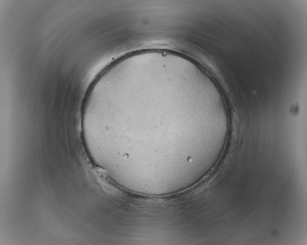 X0000111241328200907231519