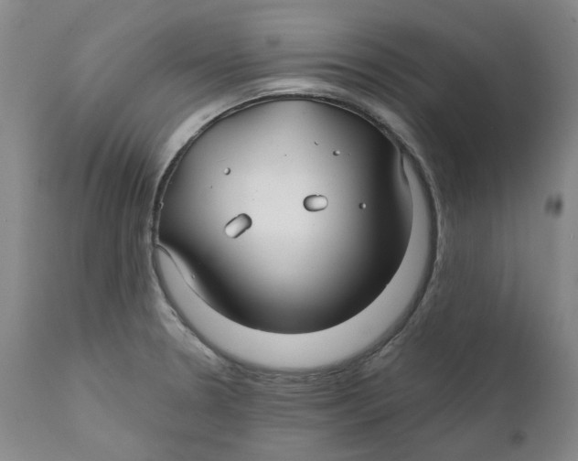 X0000111241330200907231519