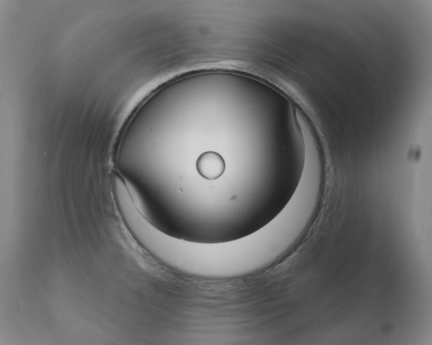 X0000111241332200907231519