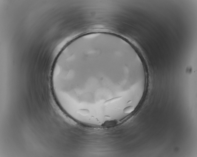 X0000111241333200907231519