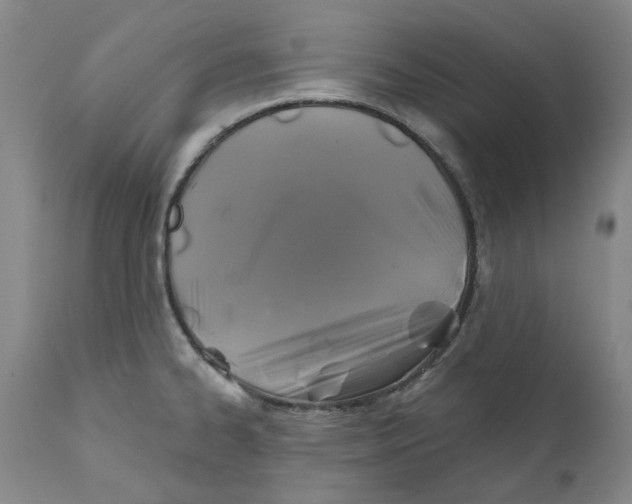 X0000111241334200907231519