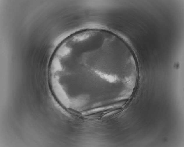 X0000111241335200907231519