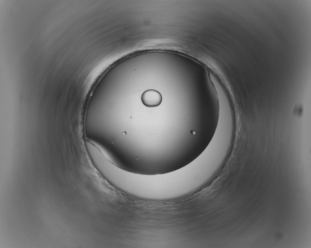 X0000111241336200907231519