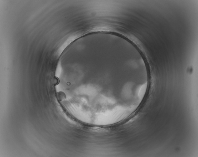 X0000111241337200907231519