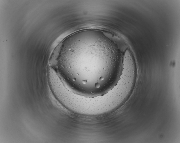 X0000111241338200907231519