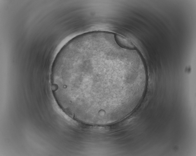 X0000111241339200907231519