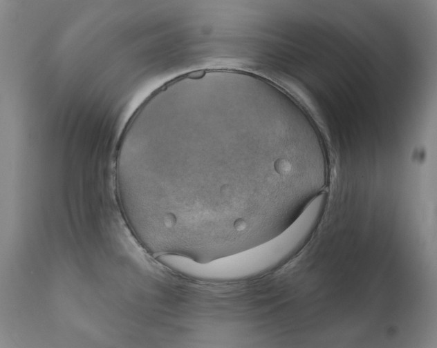 X0000111241340200907231519