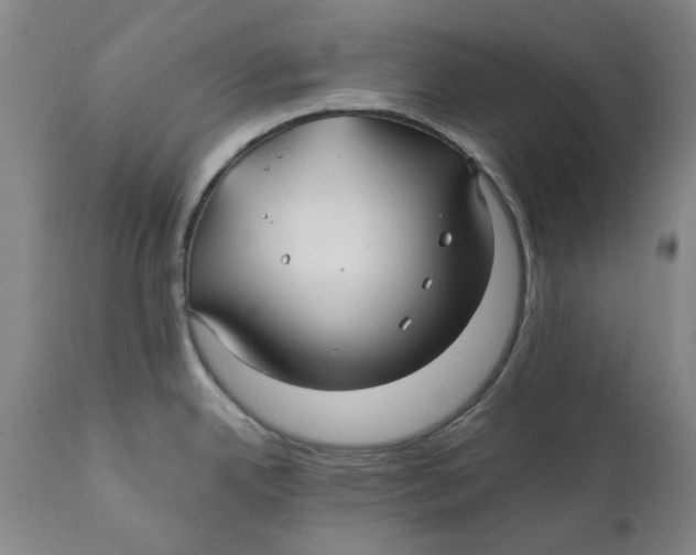 X0000111241342200907231519