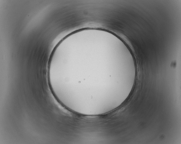 X0000111241343200907231519