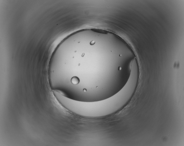 X0000111241344200907231519