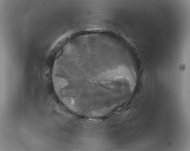 X0000111241351200907231518