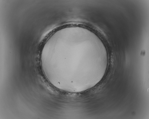 X0000111241352200907231518