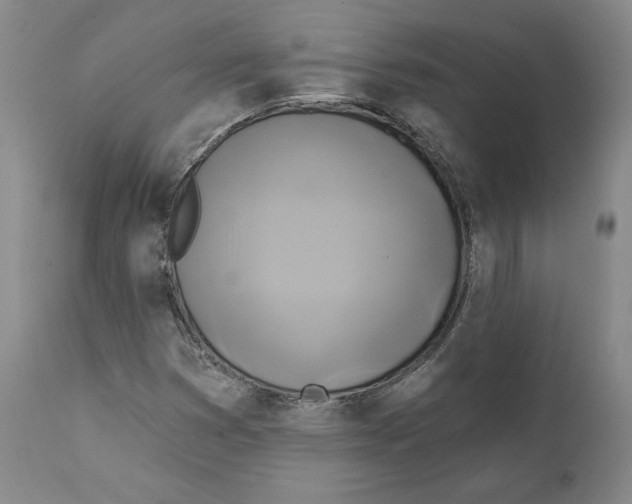 X0000111241353200907231518