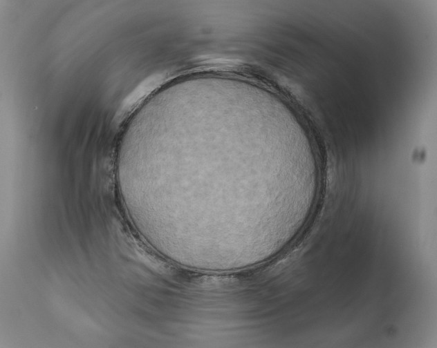 X0000111241354200907231518