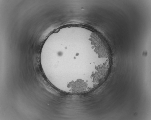 X0000111241355200907231518