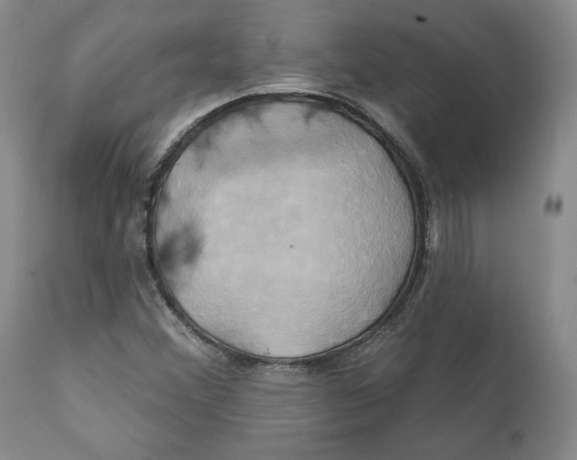 X0000111241356200907231518