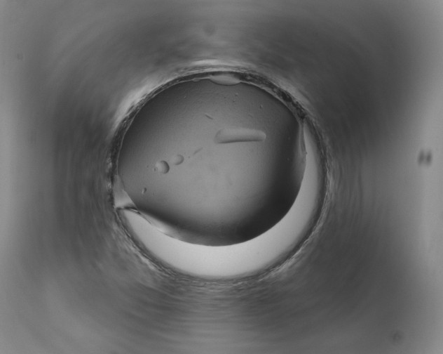 X0000111241357200907231518