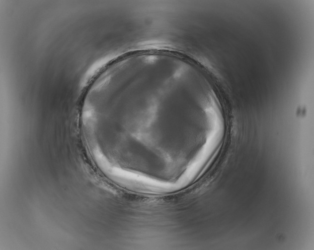 X0000111241358200907231518