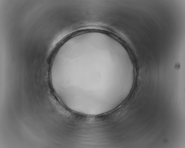 X0000111241360200907231518