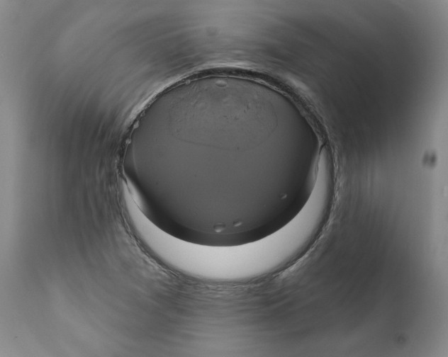 X0000111241361200907231518