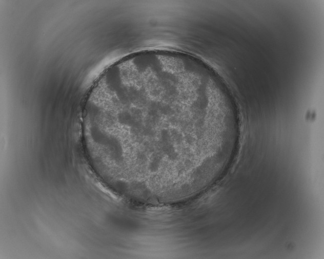 X0000111241363200907231518