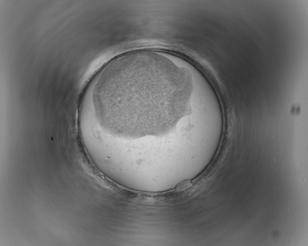 X0000111241365200907231518