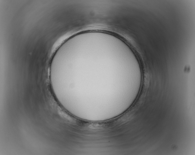 X0000111241366200907231518