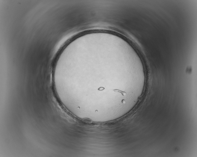 X0000111241368200907231518