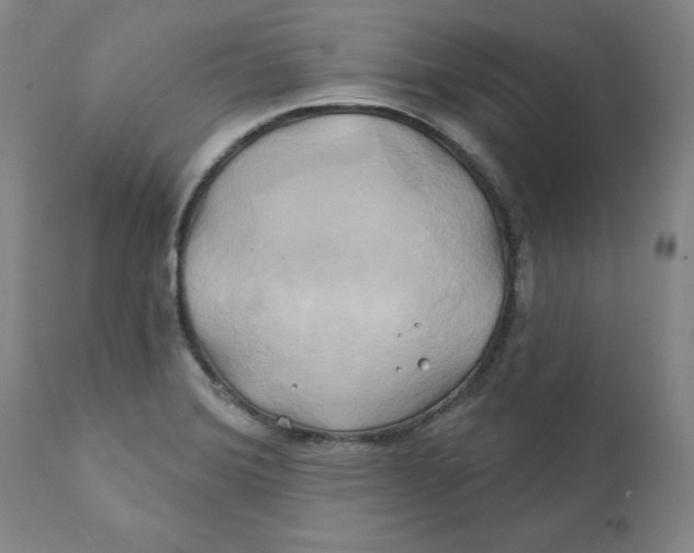 X0000111241372200907231518