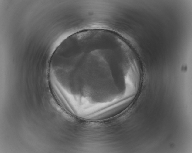 X0000111241374200907231518