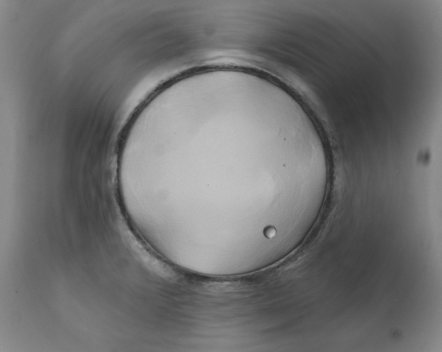 X0000111241376200907231518