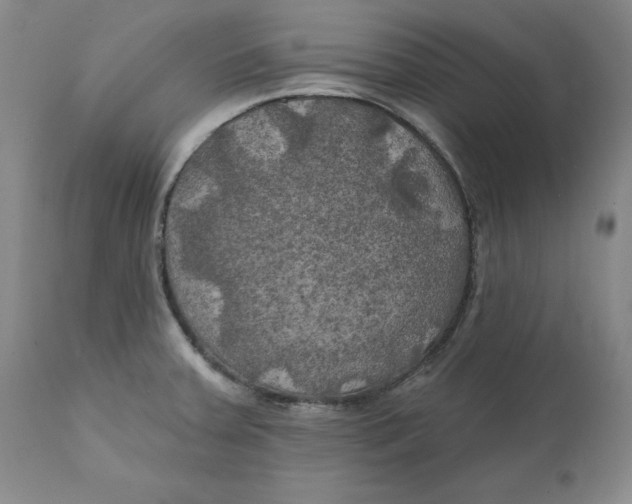 X0000111241379200907231518