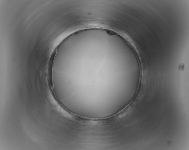 X0000111241381200907231518