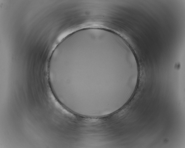 X0000111241382200907231518