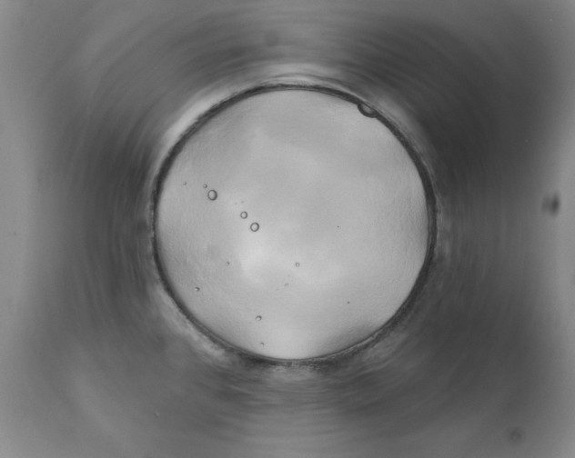 X0000111241384200907231518