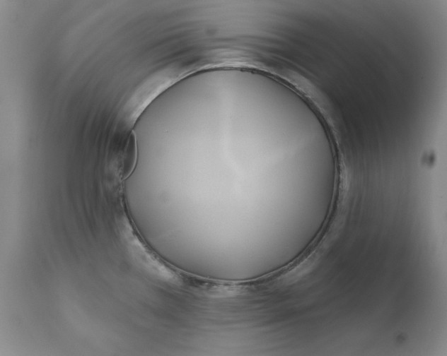 X0000111241385200907231518