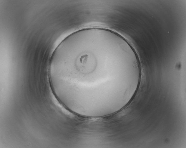 X0000111241390200907231518